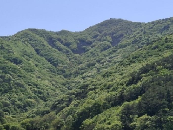 경상남도 사천시 사남면 임야 경매 물건 사진
