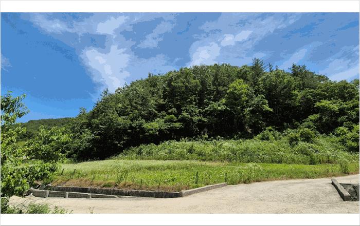 경상남도 진주시 미천면 임야 경매 물건 사진