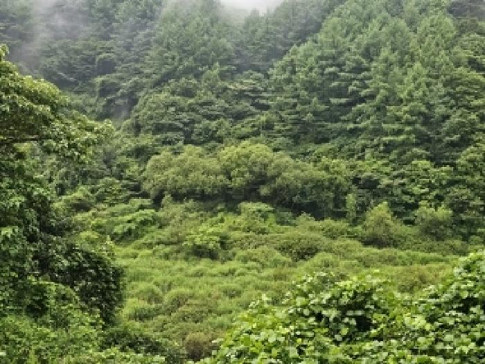 경상남도 하동군 청암면 답 경매 물건 사진