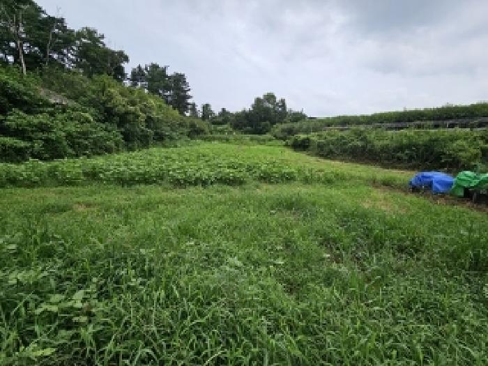 경상남도 진주시 평거동 전 경매 물건 사진