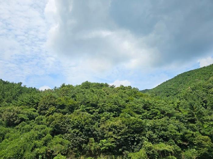경상남도 진주시 이반성면 대지 경매 물건 사진
