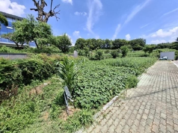 경상남도 사천시 사천읍 전 경매 물건 사진