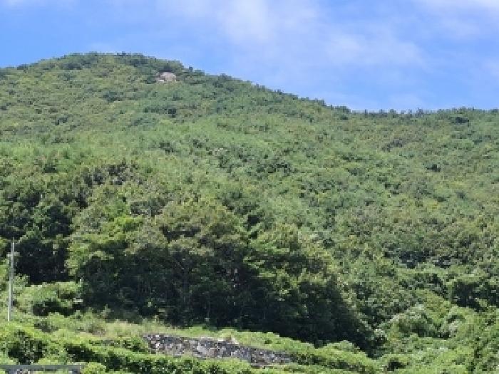 경상남도 남해군 미조면 임야 경매 물건 사진