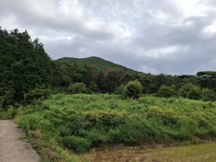 경상남도 남해군 삼동면 임야 경매 물건 사진