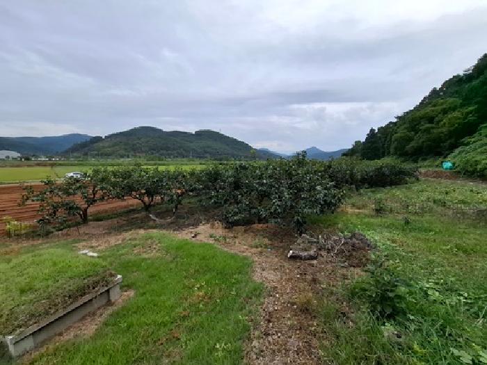 경상남도 사천시 정동면 전 경매 물건 사진