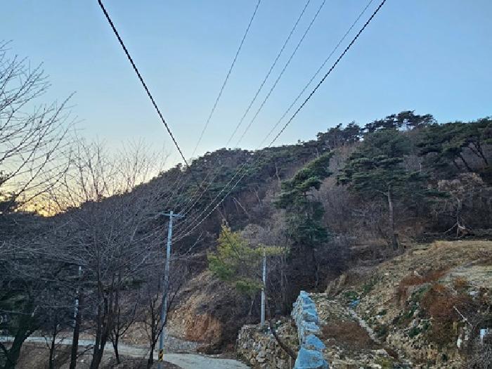 경상남도 산청군 단성면 임야 경매 물건 사진