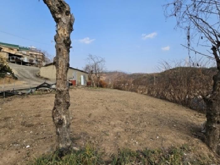 경상남도 하동군 금성면 전 경매 물건 사진