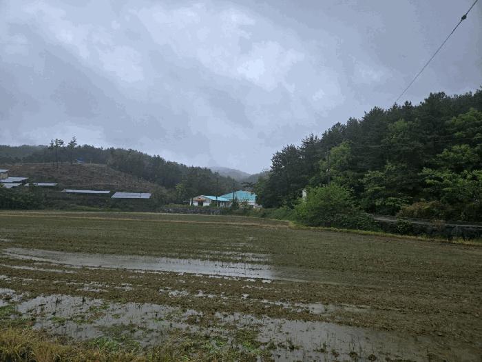 경상남도 사천시 서포면 운동시설 경매 물건 사진