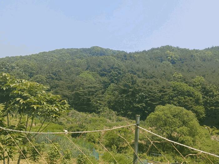 경상남도 산청군 신안면 답 경매 물건 사진