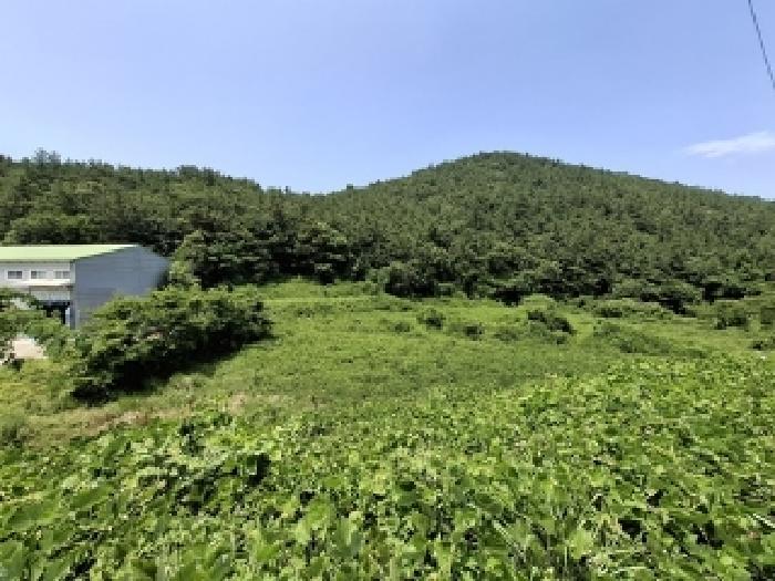 경상남도 남해군 삼동면 답 경매 물건 사진