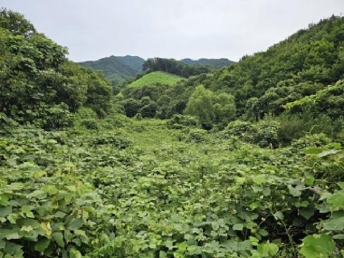 경상남도 하동군 화개면 답 경매 물건 사진