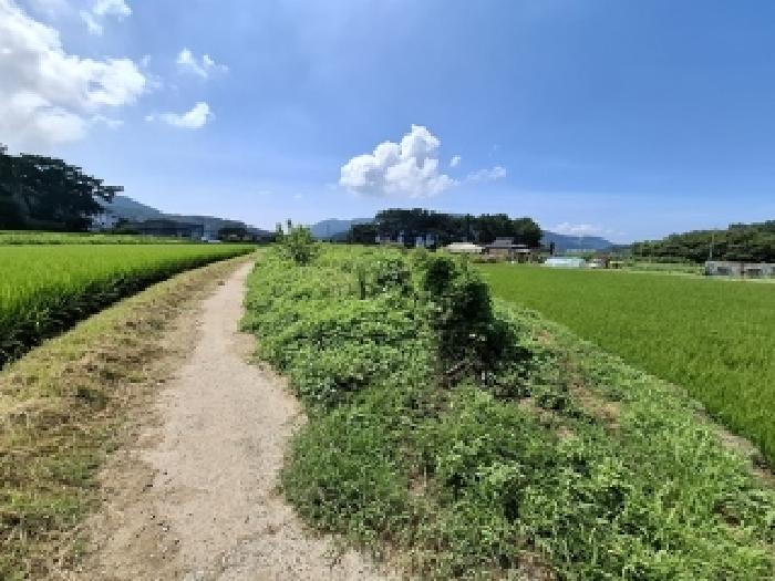경상남도 사천시 신벽동 답 경매 물건 사진