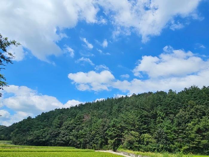 경상남도 산청군 신안면 임야 경매 물건 사진