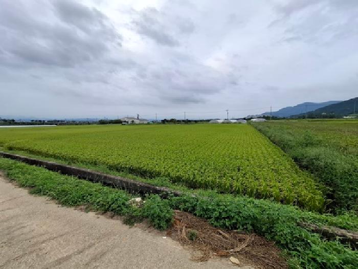 경상남도 사천시 용현면 답 경매 물건 사진