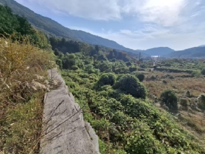 경상남도 사천시 와룡동 답 경매 물건 사진