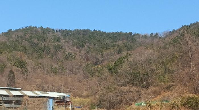 경상남도 거제시 장목면 임야 경매 물건 사진