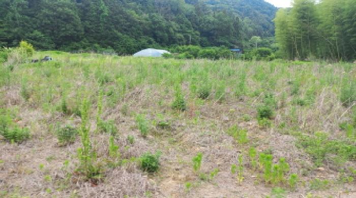 경상남도 거제시 장목면 답 경매 물건 사진
