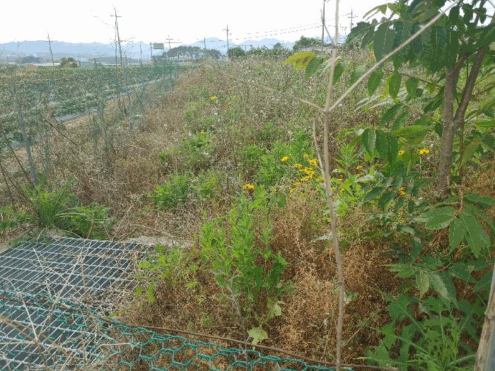 경상남도 고성군 거류면 답 경매 물건 사진