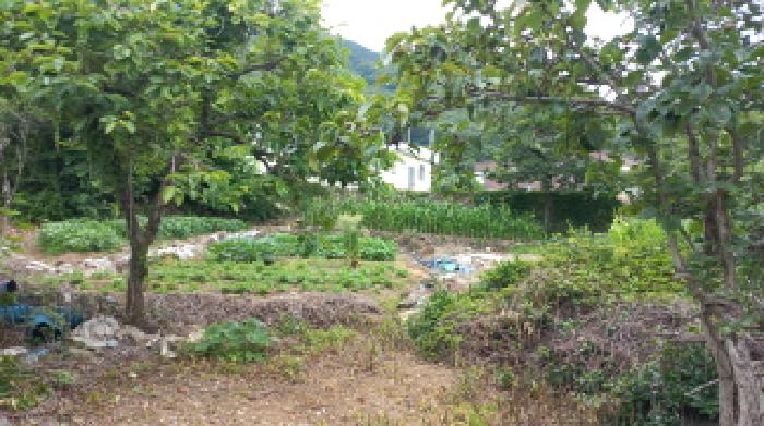 경상남도 거제시 연초면 대지 경매 물건 사진