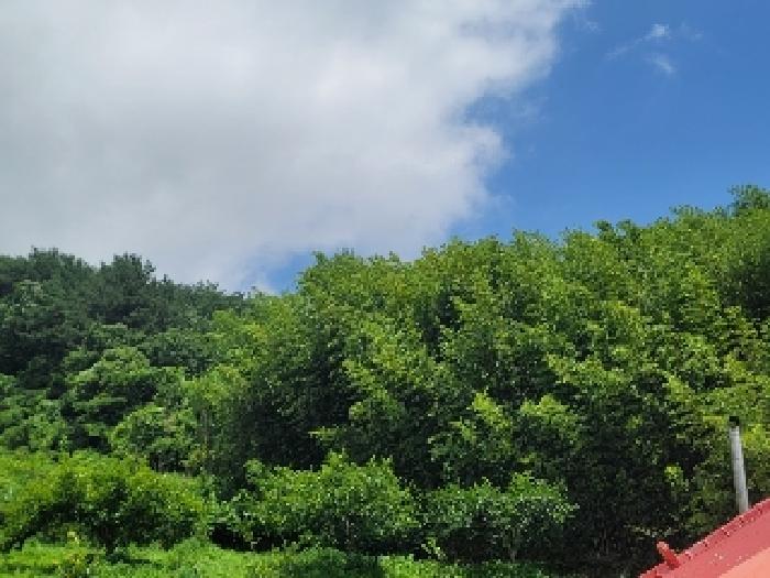경상남도 거제시 둔덕면 대지 경매 물건 사진