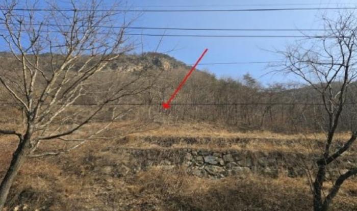 경상남도 밀양시 단장면 임야 경매 물건 사진
