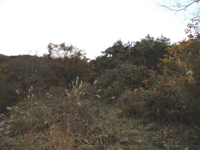 경상남도 밀양시 단장면 답 경매 물건 사진