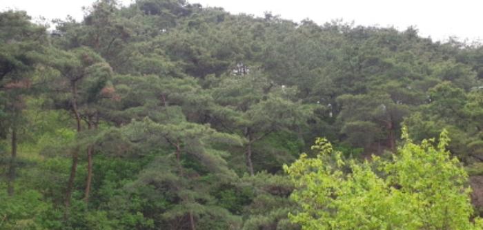 경상남도 합천군 용주면 동물및식물관련시설 경매 물건 사진