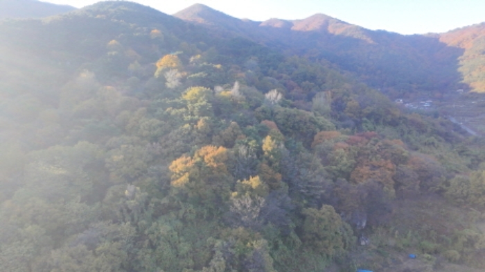 경상남도 함양군 휴천면 임야 경매 물건 사진