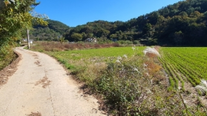 경상남도 창원시 마산합포구 답 경매 물건 사진