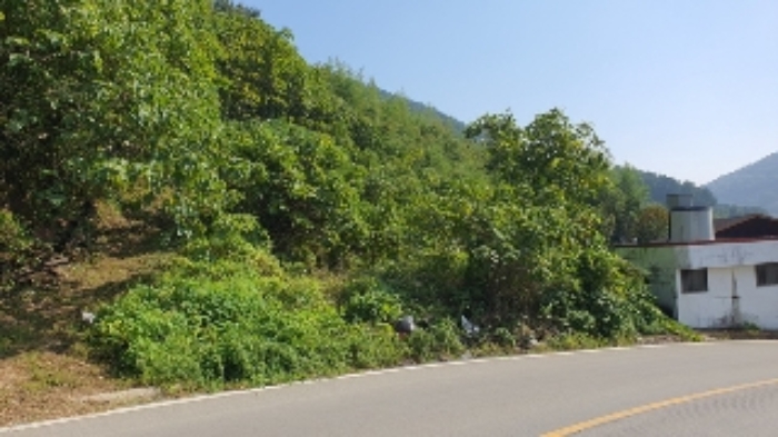 경상남도 창원시 마산합포구 대지 경매 물건 사진