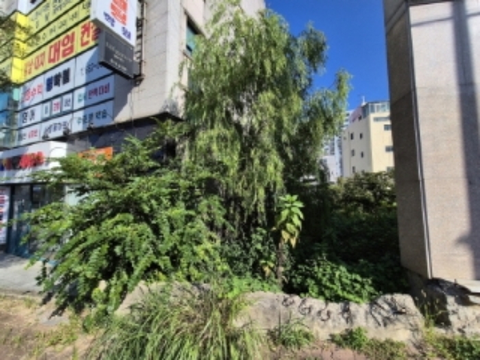 광주광역시 남구 봉선동 근린생활시설 경매 물건 사진