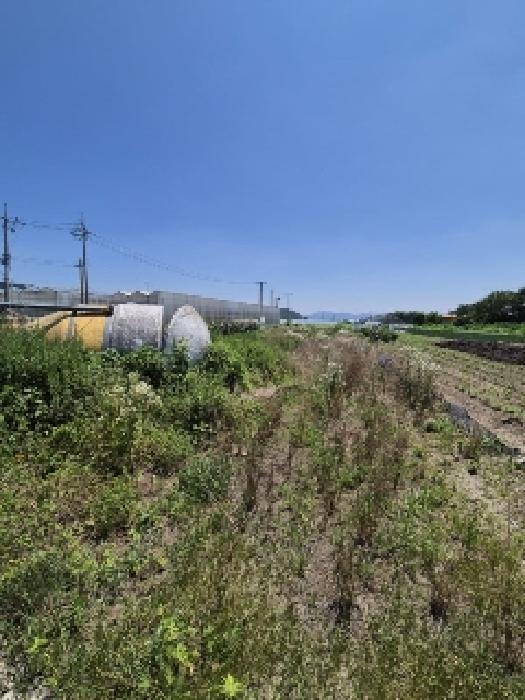 전라남도 화순군 도곡면 동물및식물관련시설 경매 물건 사진