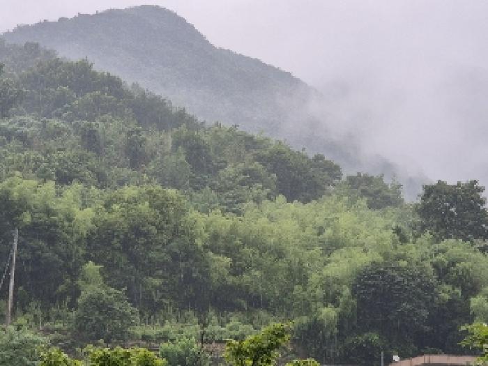 전라남도 화순군 한천면 임야 경매 물건 사진