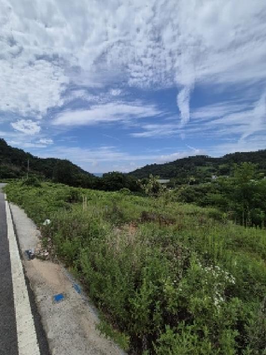 전라남도 담양군 담양읍 대지 경매 물건 사진