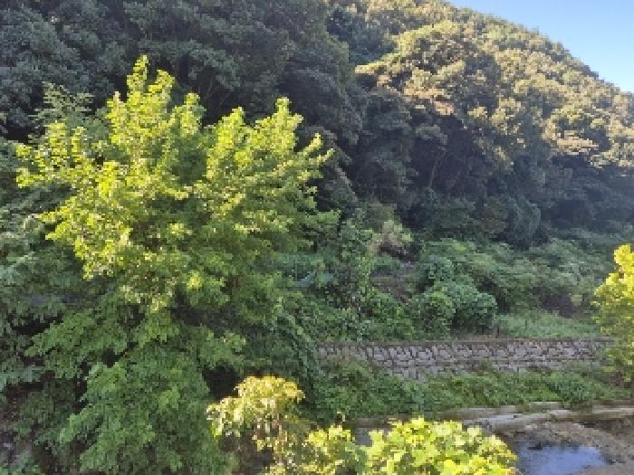 광주광역시 동구 운림동 전 경매 물건 사진