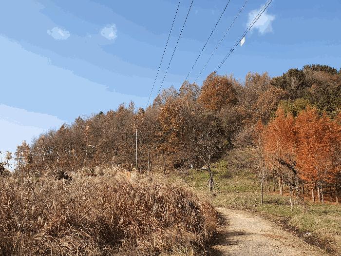 광주광역시 남구 덕남동 임야 경매 물건 사진