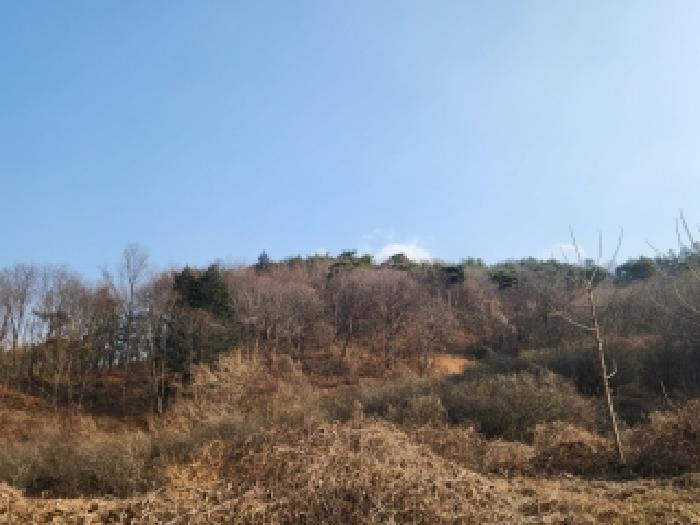 전라남도 곡성군 삼기면 도로 경매 물건 사진