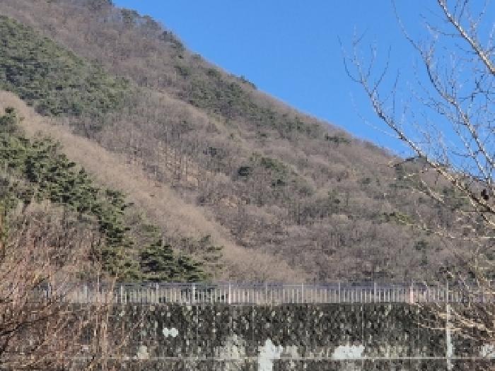 광주광역시 동구 용연동 임야 경매 물건 사진