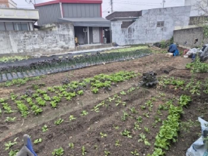 광주광역시 광산구 도산동 전답 경매 물건 사진