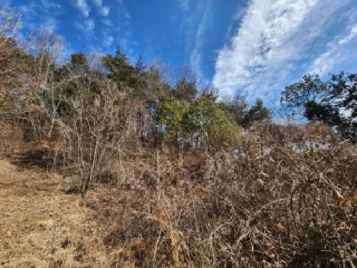 전라남도 곡성군 석곡면 전 경매 물건 사진
