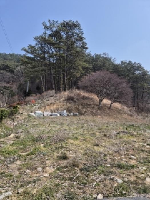 전라남도 장성군 북하면 임야 경매 물건 사진