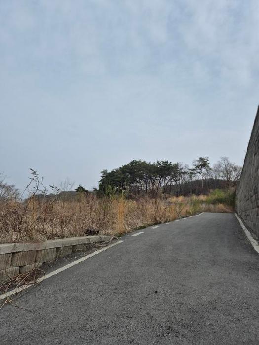 전남광주통합특별시 장성군 삼서면 임야 경매 물건 사진