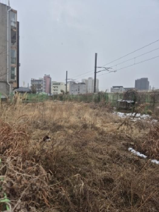 광주광역시 광산구 소촌동 대지,임야,전답 경매 물건 사진