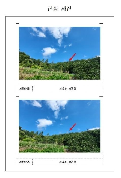 전라남도 무안군 삼향읍 임야 경매 물건 사진