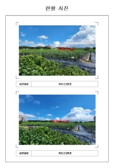 전라남도 영암군 삼호읍 답 경매 물건 사진