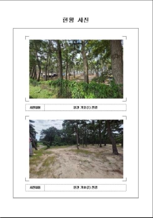 전라남도 무안군 현경면 임야 경매 물건 사진