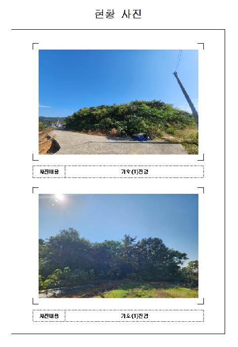 전라남도 영암군 삼호읍 임야 경매 물건 사진