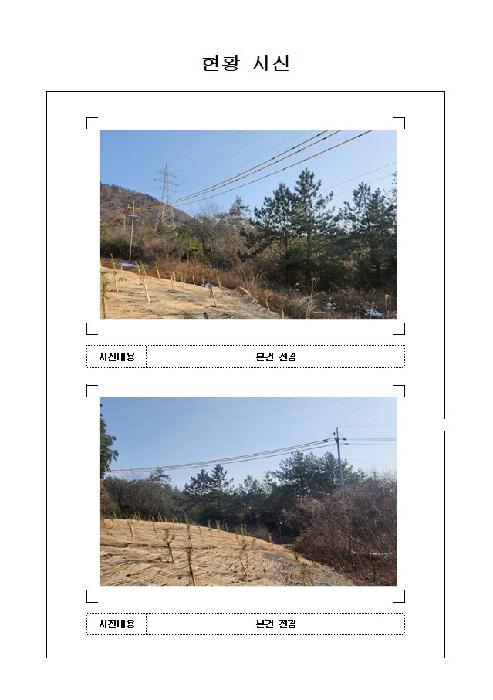 전라남도 신안군 압해읍 임야 경매 물건 사진