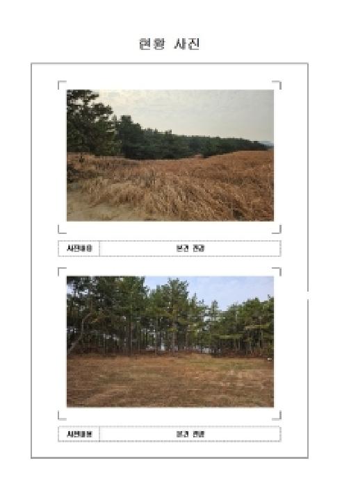 전라남도 신안군 임자면 임야 경매 물건 사진