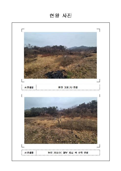 전라남도 함평군 손불면 전답 경매 물건 사진